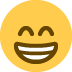 :grin: grin